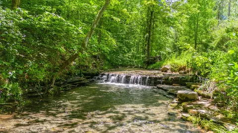 1137 James Brown Rd, Westmoreland, TN 37186
