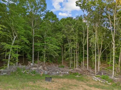 925 Nancy Shawl Rd, Dickson, TN 37055 photo 49