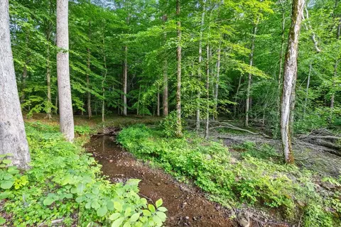 925 Nancy Shawl Rd, Dickson, TN 37055 photo 52