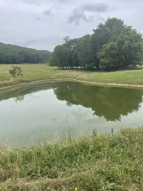 719 Basham Rd, Morrison, TN 37357 photo 18