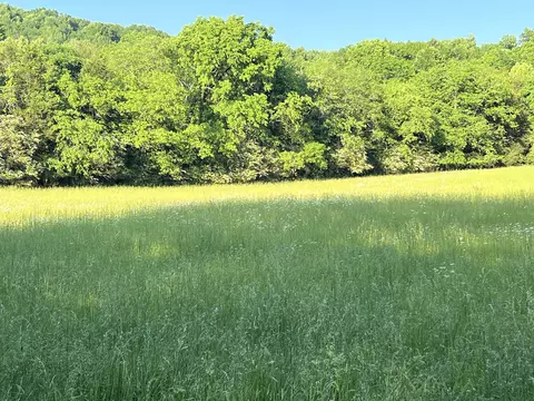 0 Reece Hollow Rd, Carthage, TN 37030