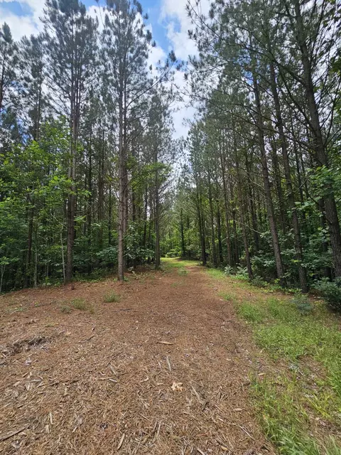 2063 Wedgewood Dr, Linden, TN 37096