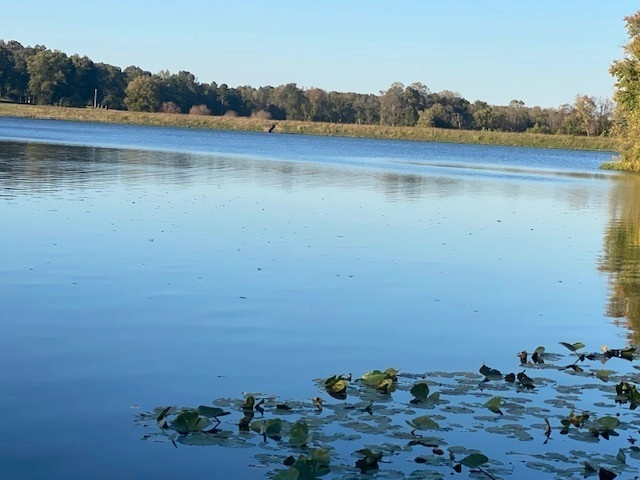 560 Medon Malesus Rd  