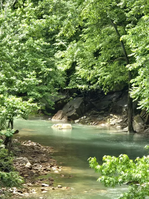 1122 E Obey Ln E # E, Wilder, TN 38589 photo 22