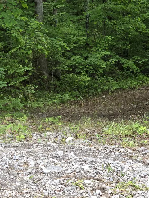 1122 E Obey Ln E # E, Wilder, TN 38589 photo 2