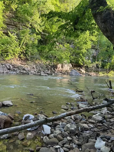 1122 E Obey Ln E # E, Wilder, TN 38589 photo 17