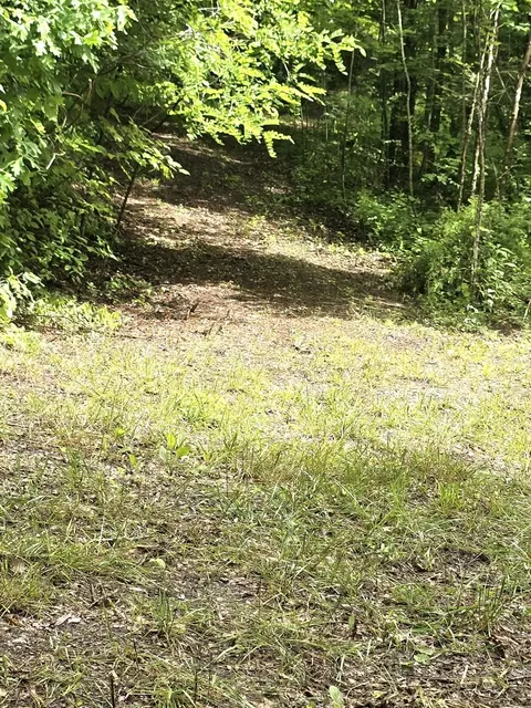 1122 E Obey Ln E # E, Wilder, TN 38589 photo 3