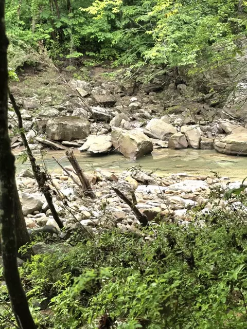 1122 E Obey Ln E # E, Wilder, TN 38589 photo 18