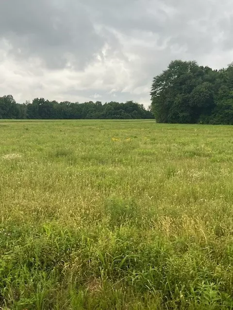 0 Billy Brown Ln, Bethpage, TN 37022 photo 3