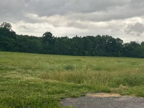 0 Billy Brown Ln, Bethpage, TN 37022 photo 6