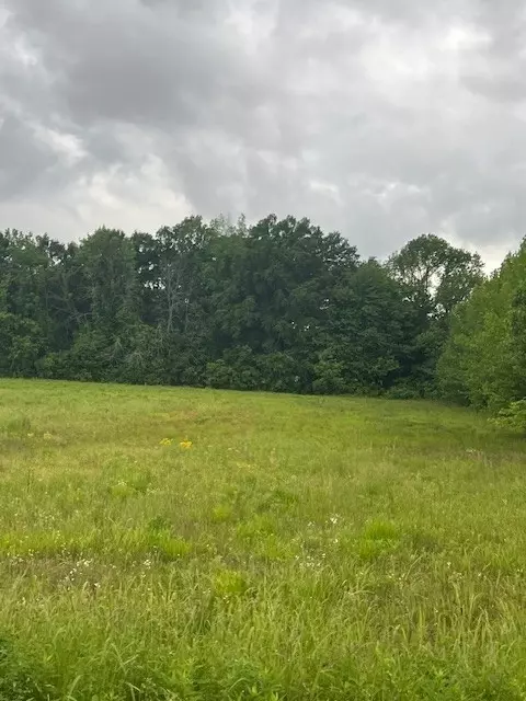 0 Billy Brown Ln, Bethpage, TN 37022 photo 2