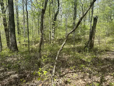 2 Primm Rd, Ashland City, TN 37015