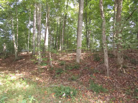 0 Old Antioch Rd, Gainesboro, TN 38562