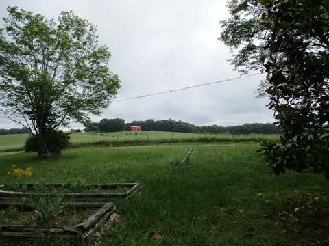 1112 Lecomte Rd, Dickson, TN 37055 photo 5