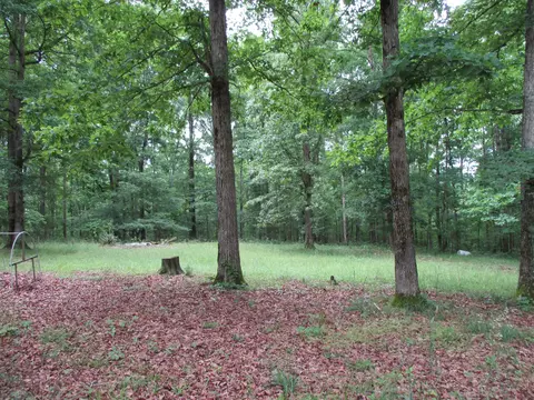 1112 Lecomte Rd, Dickson, TN 37055 photo 4
