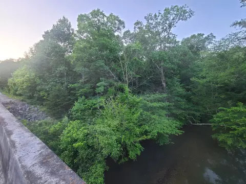 0 Lexington Rd, Loretto, TN 38469 photo 8