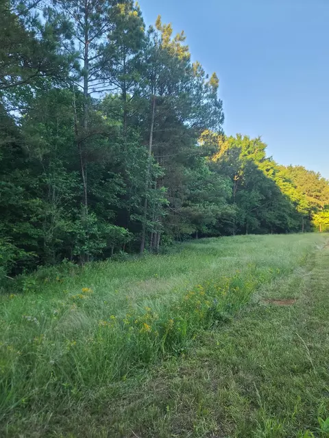 0 Lexington Rd, Loretto, TN 38469 photo 22