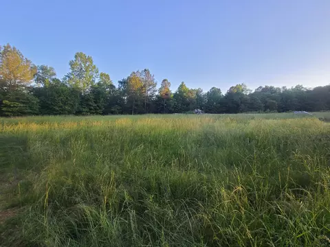 0 Lexington Rd, Loretto, TN 38469 photo 25