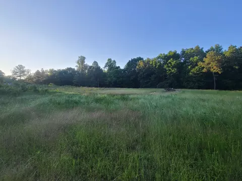0 Lexington Rd, Loretto, TN 38469 photo 21