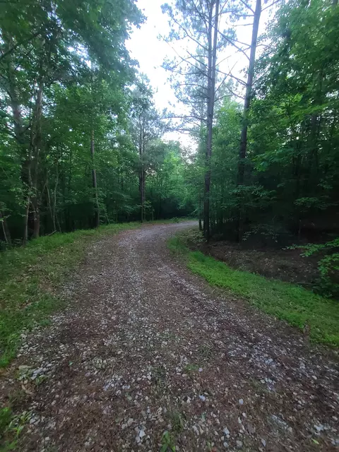 0 Lexington Rd, Loretto, TN 38469 photo 14