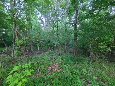 0 Lexington Rd, Loretto, TN 38469 photo 16