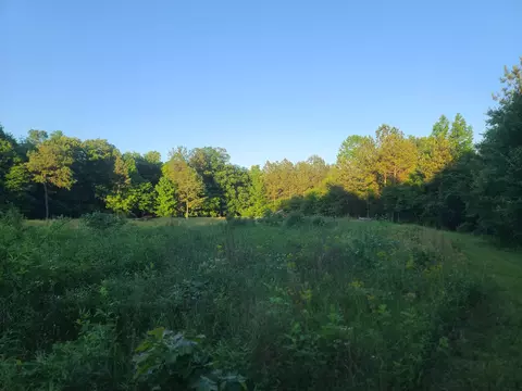 0 Lexington Rd, Loretto, TN 38469 photo 24