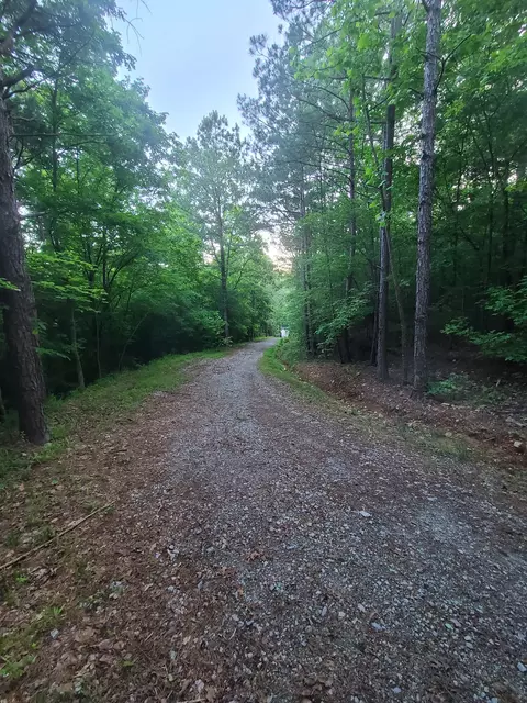 0 Lexington Rd, Loretto, TN 38469 photo 12