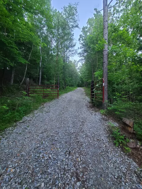 0 Lexington Rd, Loretto, TN 38469 photo 11