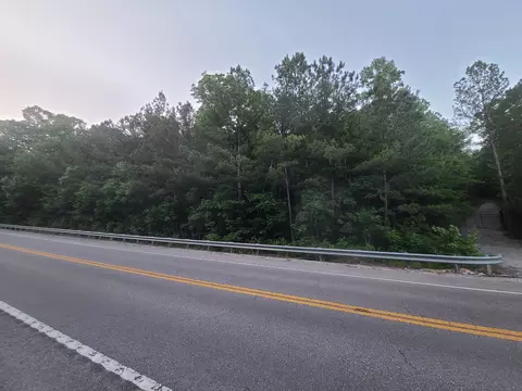 0 Lexington Rd, Loretto, TN 38469 photo 3