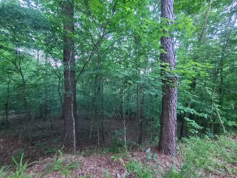 0 Lexington Rd, Loretto, TN 38469 photo 15