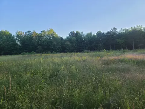 0 Lexington Rd, Loretto, TN 38469 photo 23