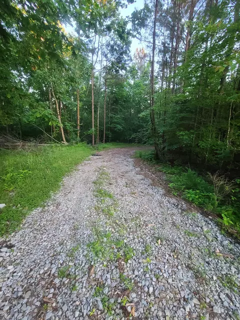 0 Lexington Rd, Loretto, TN 38469 photo 13