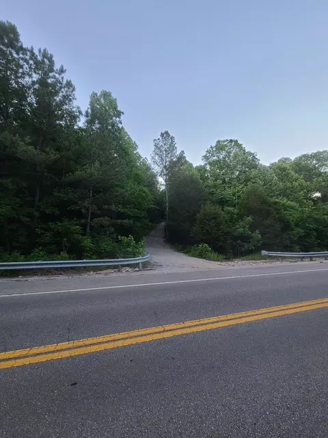 0 Lexington Rd, Loretto, TN 38469 photo 6