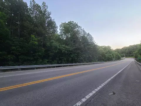 0 Lexington Rd, Loretto, TN 38469 photo 5