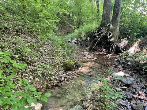 0 Swindle Creek Rd, Linden, TN 37096