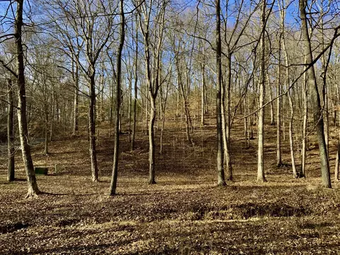 0 Forrest Xing, Waverly, TN 37185