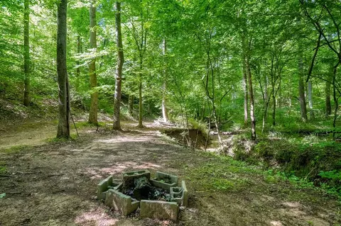 818 Cicada Rd, Quebeck, TN 38579 photo 32