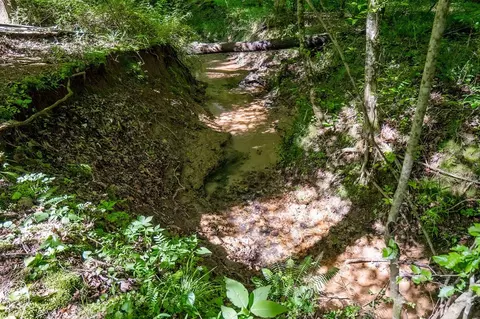 818 Cicada Rd, Quebeck, TN 38579 photo 33