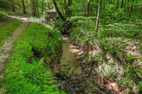 818 Cicada Rd, Quebeck, TN 38579 photo 31