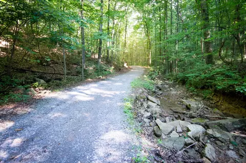 2451 Bluff View Dr, Dunlap, TN 37327 photo 84