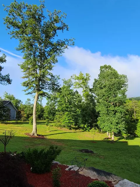 2451 Bluff View Dr, Dunlap, TN 37327 photo 69