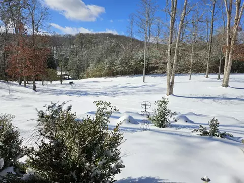 2451 Bluff View Dr, Dunlap, TN 37327 photo 74