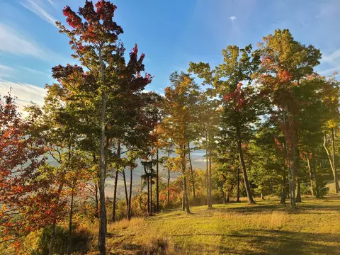 2451 Bluff View Dr, Dunlap, TN 37327 photo 76