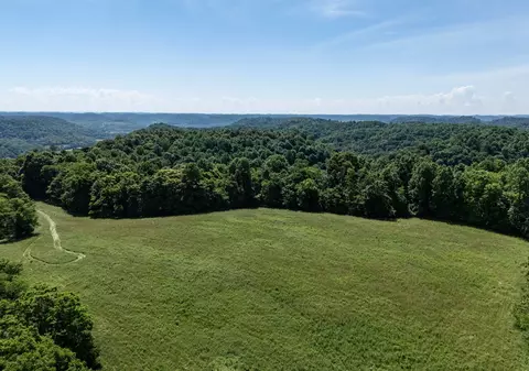 47 Skelton Ln, Pleasant Shade, TN 37145