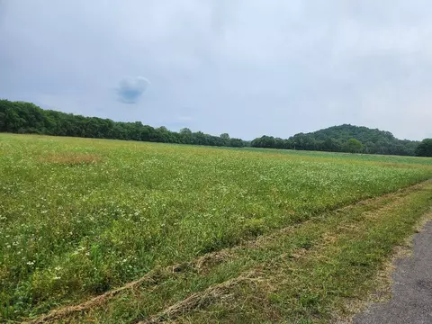 261 Bee Rd, Prospect, TN 38477 photo 5