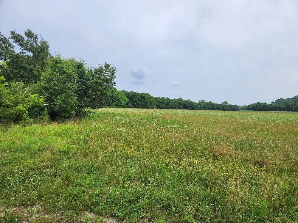 261 Bee Rd  