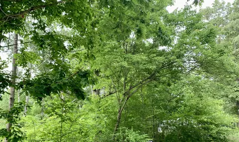 0 General Lee Dr, Beechgrove, TN 37018
