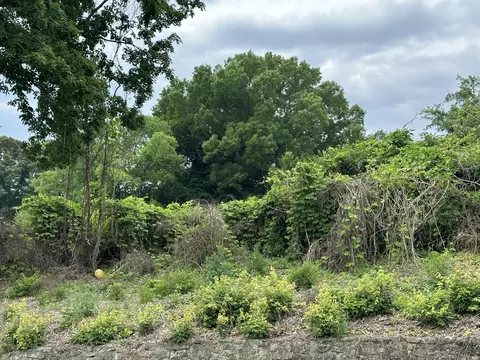 0 3rd St SW, Cleveland, TN 37311