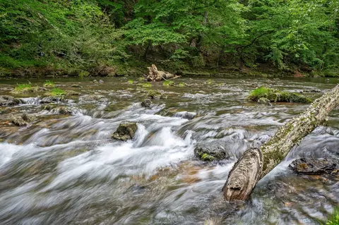 0 Seven Springs Rd, Smithville, TN 37166