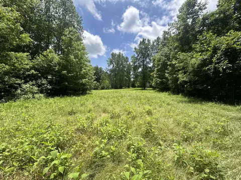 0 Dry Prong Rd, Mulberry, TN 37359